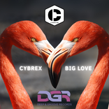 CYBREX - Big Love (Deep & Groove Records)